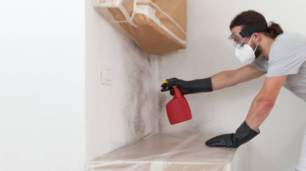 Professional Basement Mold Remediation technician working in Sumerduck, VA