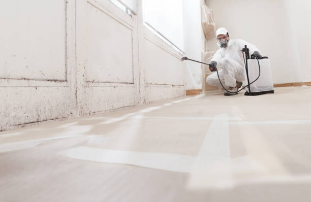 24/7 Emergency Basement Mold Remediation experts in Sumerduck, VA